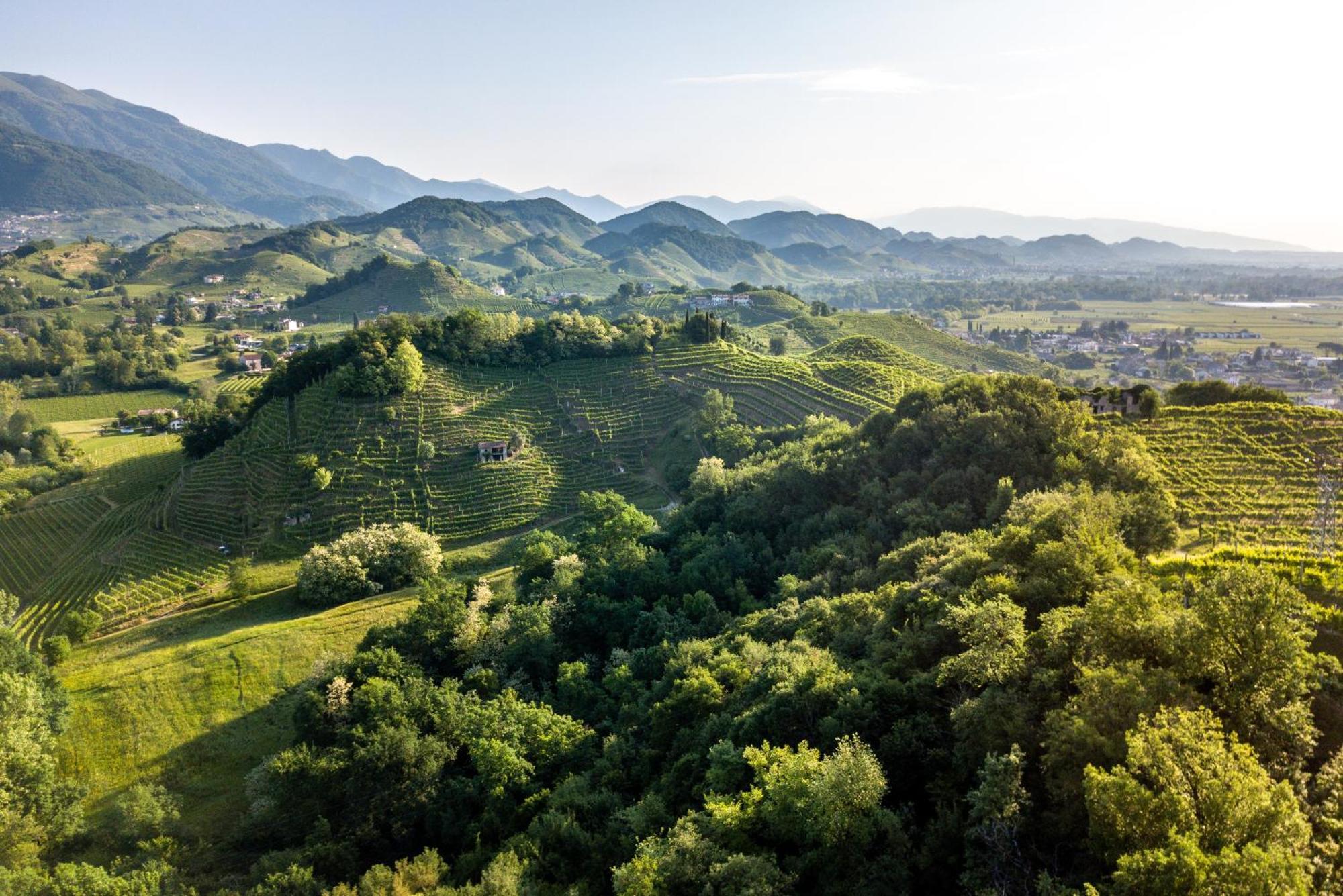 Al Capitello Apartment Vidor ภายนอก รูปภาพ